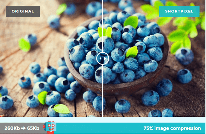 ShortPixel Image Optimization Example